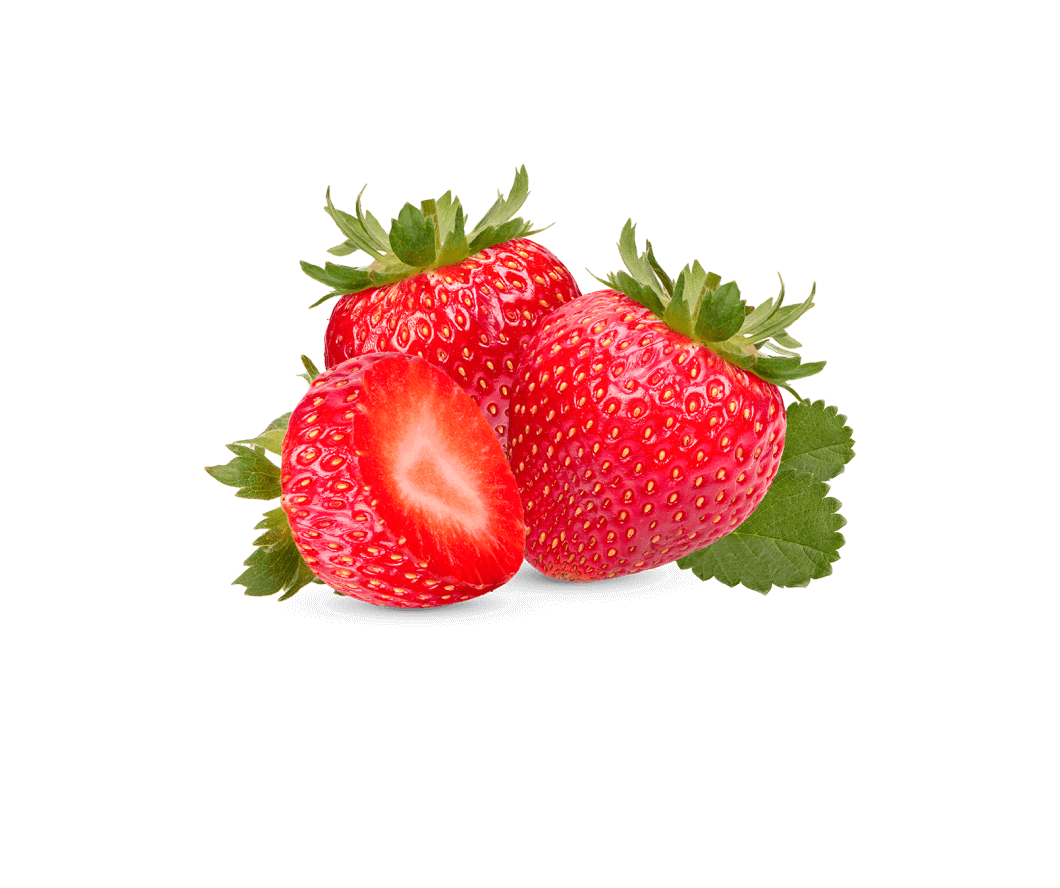 Fruit