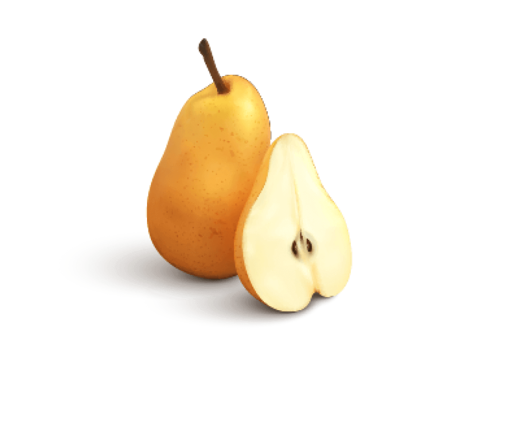 Fruit